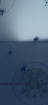 Overhead rink markings